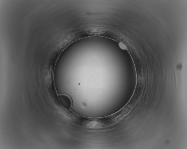 X0000096980460200802151334