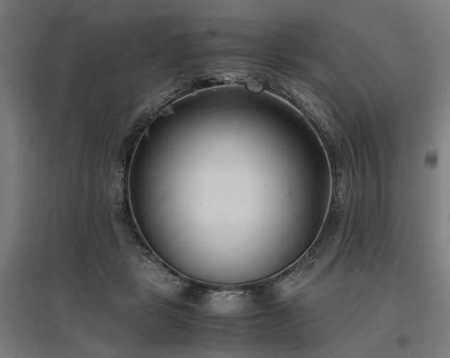 X0000096980461200802151334