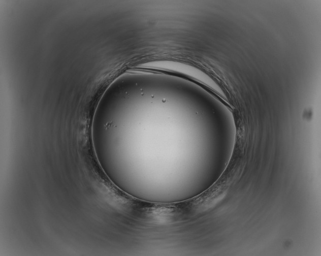 X0000096980462200802151334