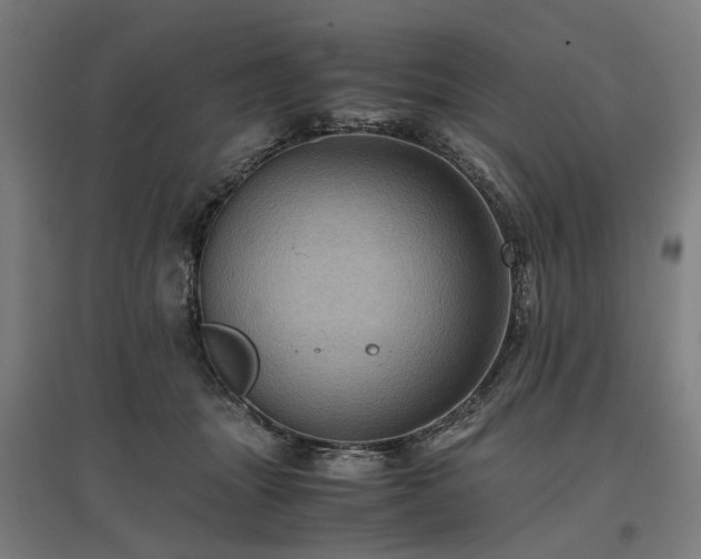 X0000096980463200802151334