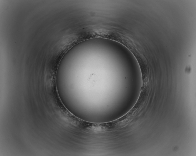 X0000096980464200802151334