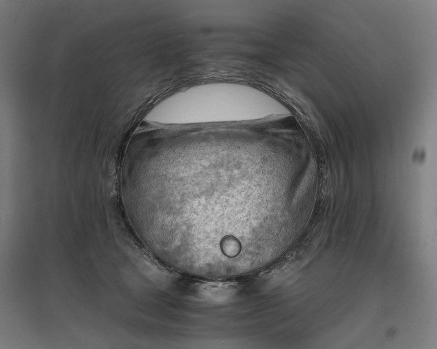 X0000096980465200802151334