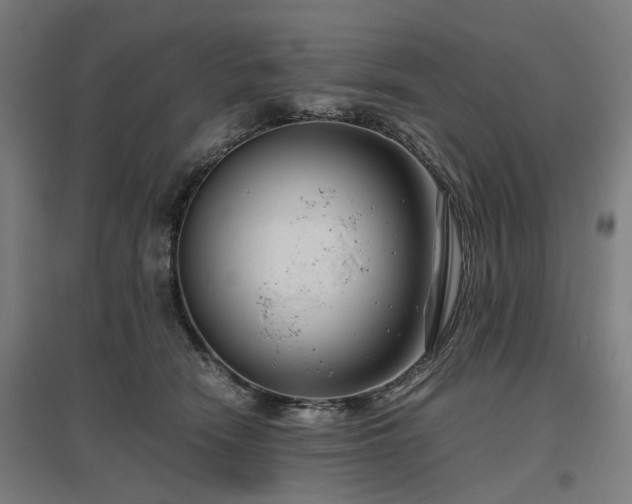 X0000096980466200802151334