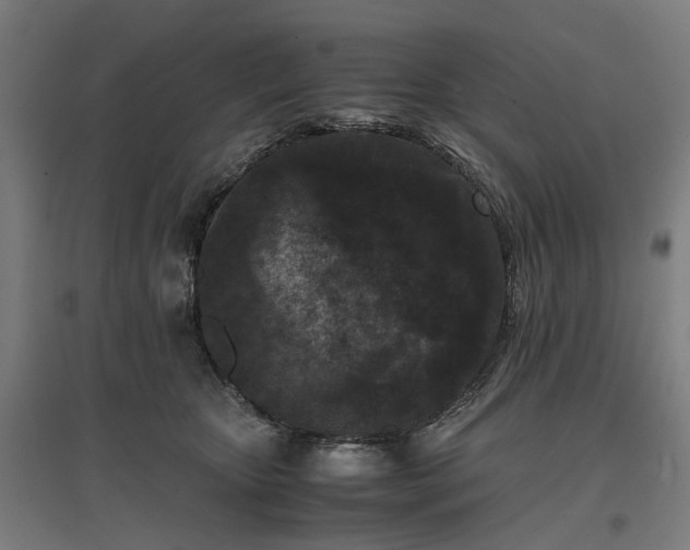 X0000096980467200802151334