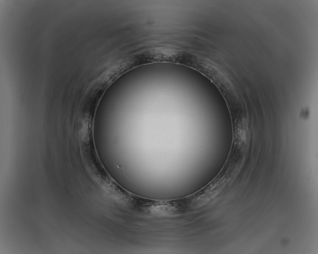 X0000096980468200802151334