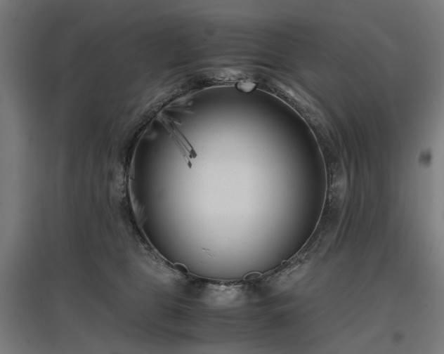 X0000096980469200802151334