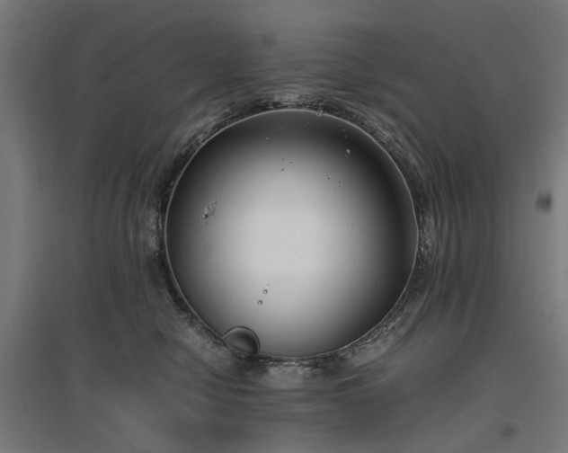 X0000096980470200802151334