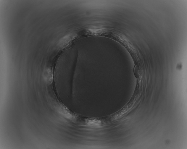 X0000096980471200802151334