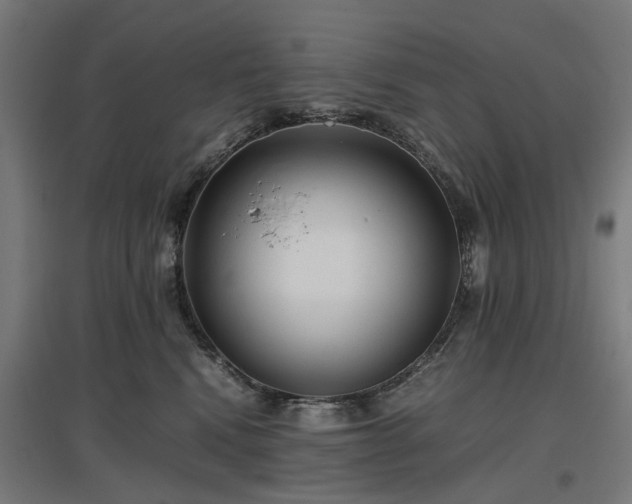 X0000096980472200802151334