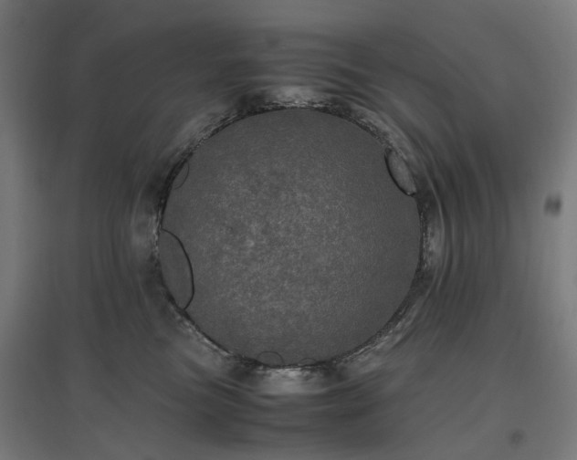 X0000096980473200802151334