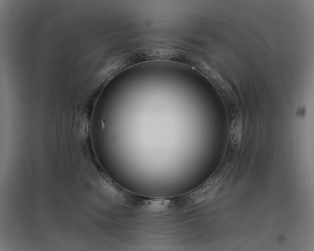 X0000096980474200802151334