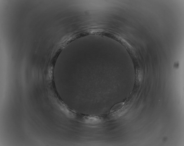 X0000096980475200802151334