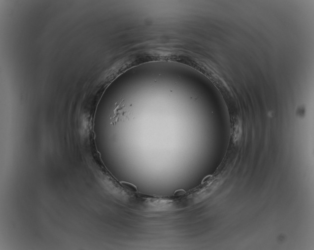 X0000096980476200802151334