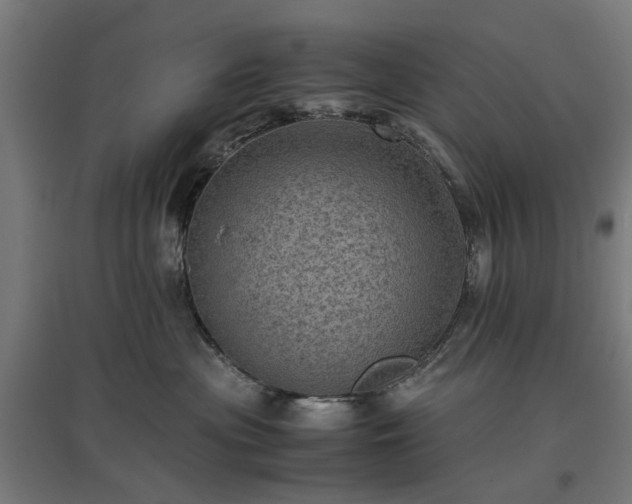 X0000096980477200802151334