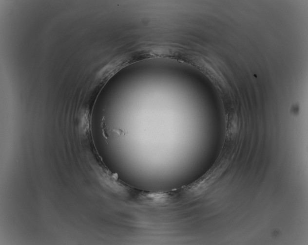 X0000096980478200802151334