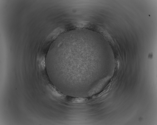 X0000096980479200802151334