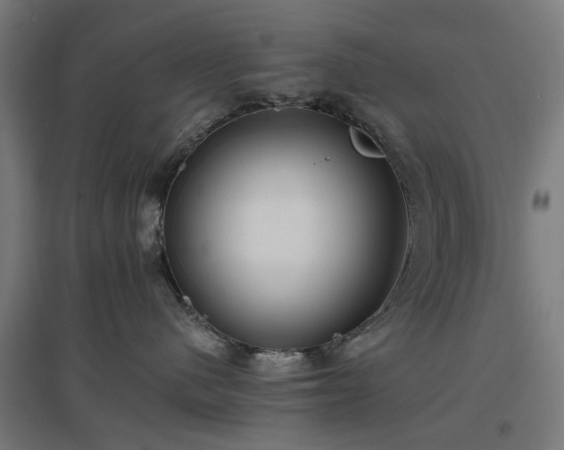 X0000096980480200802151334