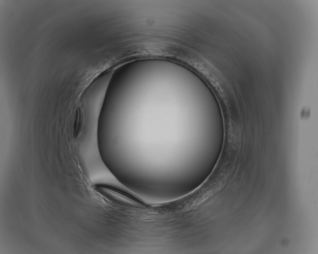 X0000096980481200802151334