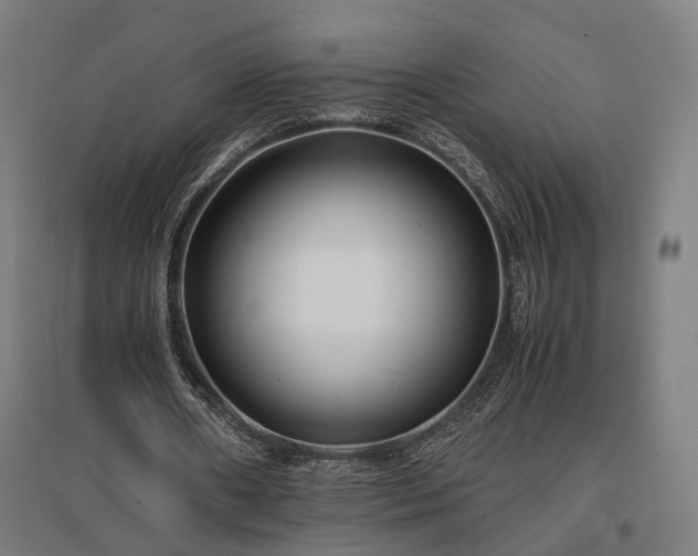 X0000096980482200802151334