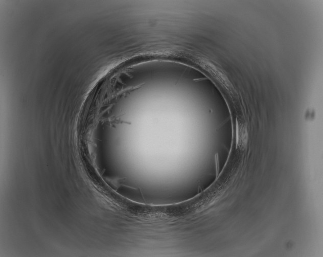 X0000096980483200802151334