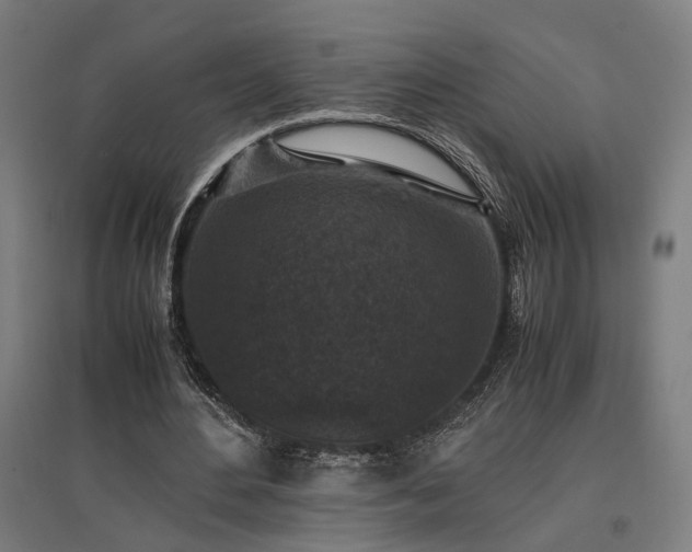 X0000096980484200802151334