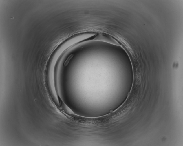 X0000096980485200802151334