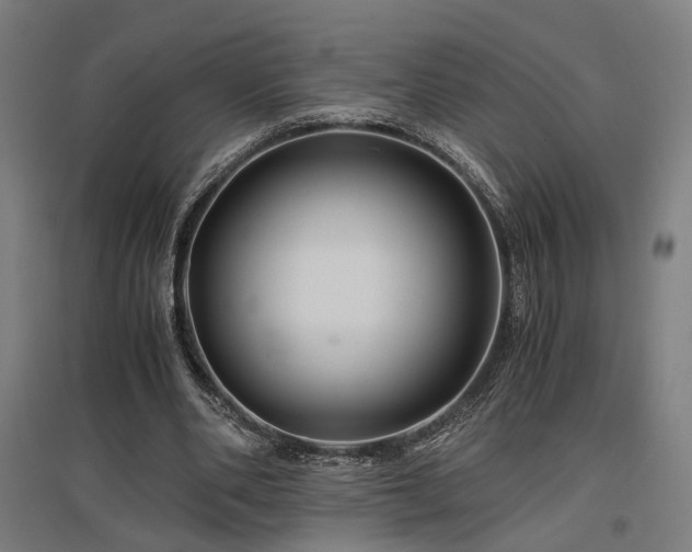 X0000096980486200802151334