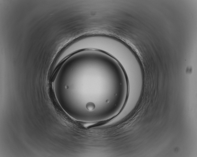 X0000096980487200802151334