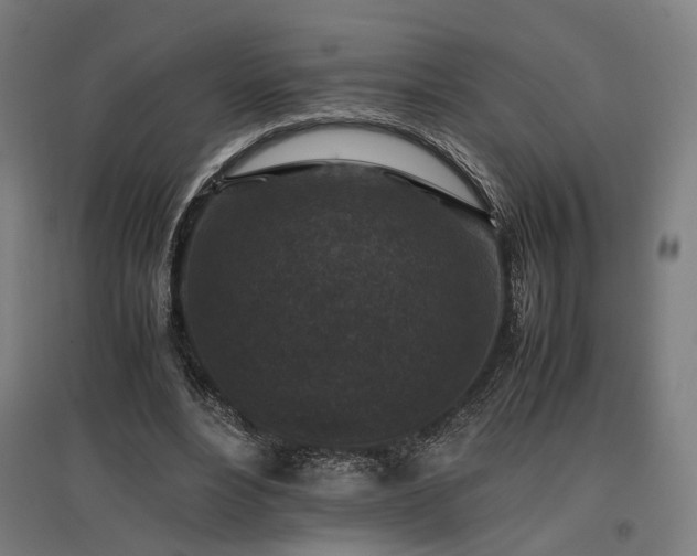 X0000096980488200802151334