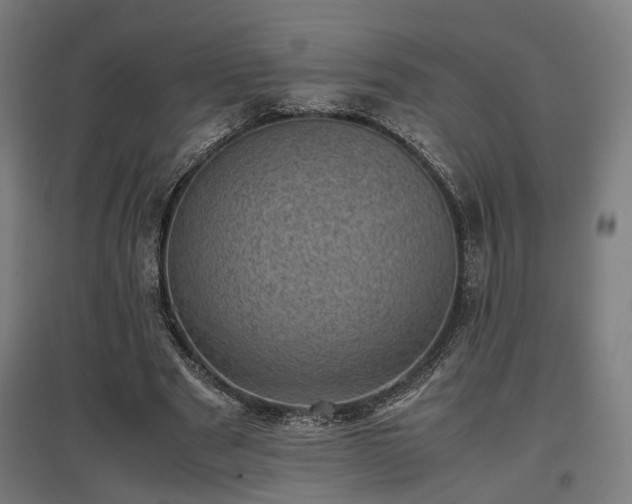 X0000096980489200802151334