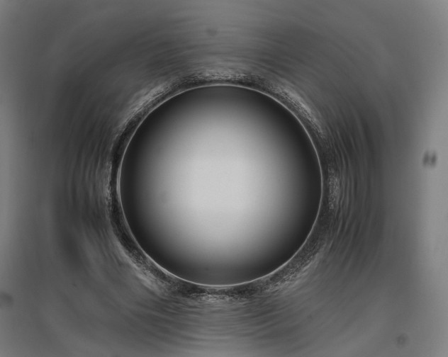 X0000096980490200802151333