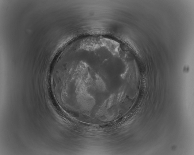 X0000096980491200802151333