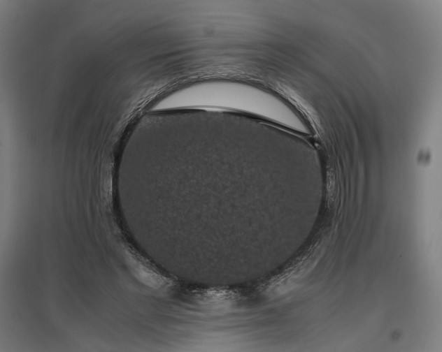 X0000096980493200802151333