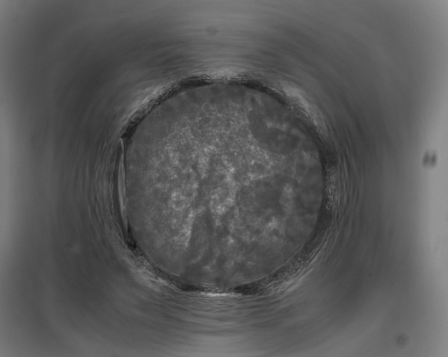 X0000096980495200802151333