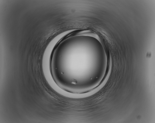 X0000096980499200802151333