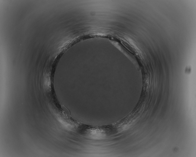 X0000096980500200802151333