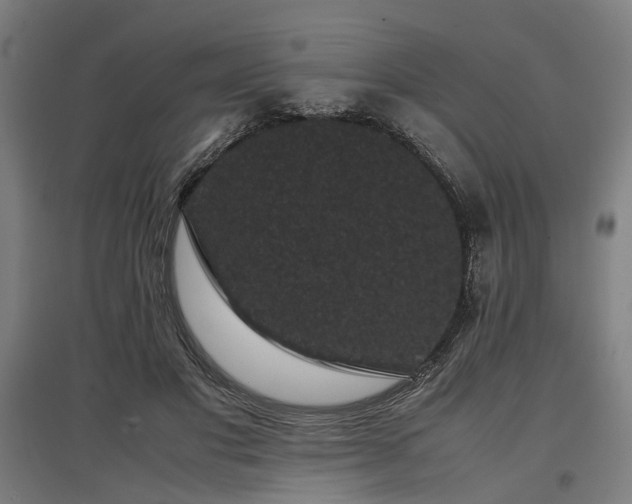 X0000096980501200802151333