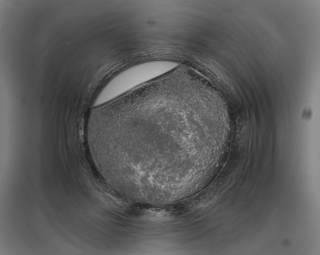 X0000096980502200802151333