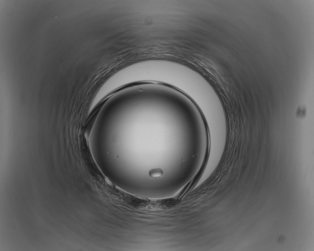 X0000096980503200802151333