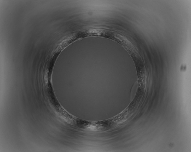 X0000096980504200802151333