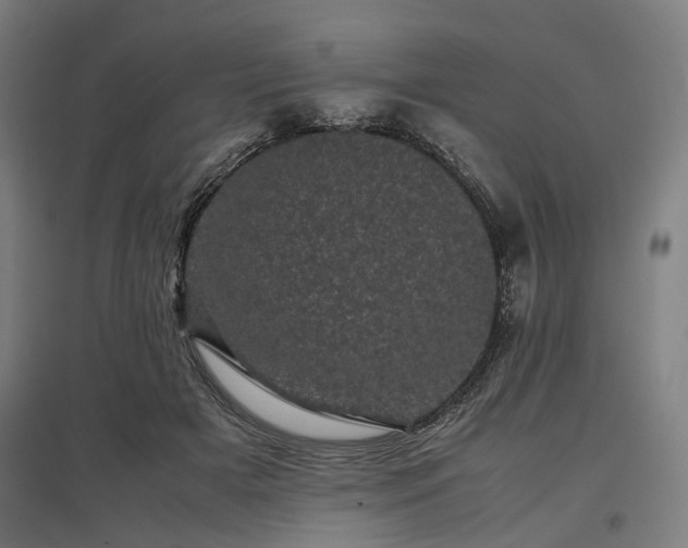 X0000096980505200802151333