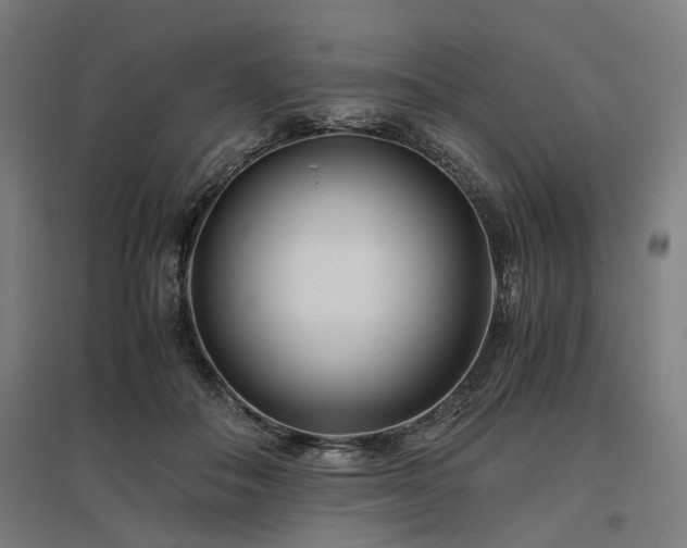 X0000096980506200802151333