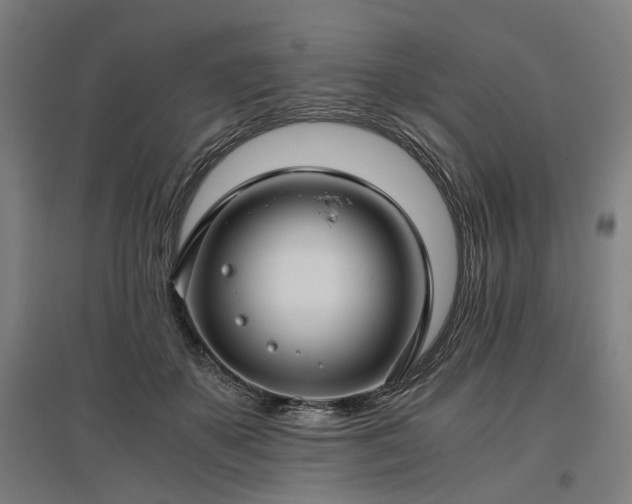 X0000096980507200802151333