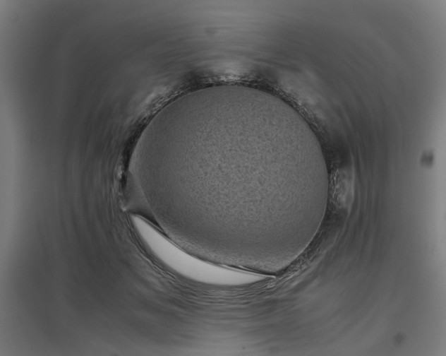 X0000096980509200802151333