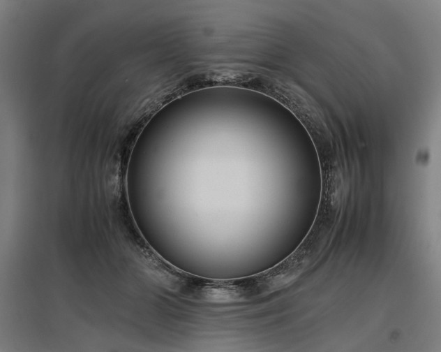 X0000096980510200802151333