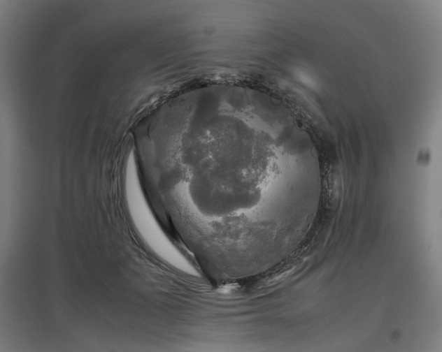 X0000096980511200802151333