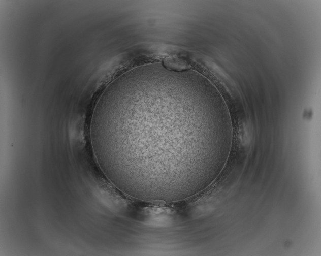 X0000096980512200802151333