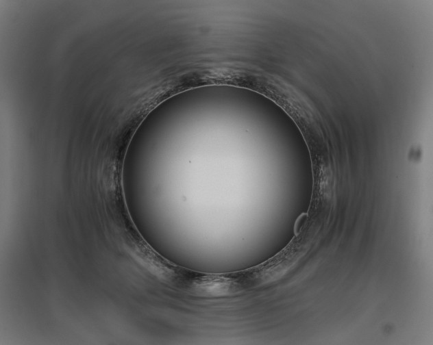 X0000096980514200802151333