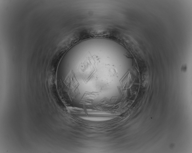 X0000096980515200802151333