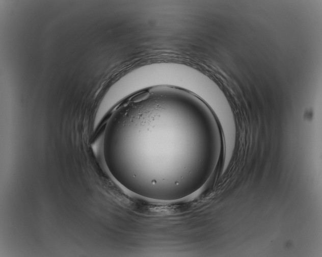 X0000096980516200802151333